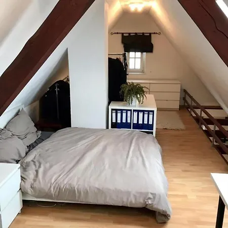 Charming 1-bed Loft In Apartment